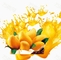 Meyve Sebze Mango Hamuru İşleme Tesisi 2-5T/H SUS304