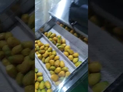 mango pulper makinesi Tohum Taş Ayırıcı