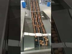 Yumurta kırma makinesi dikey tip