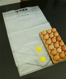 Bib sıvı yumurta paketleme