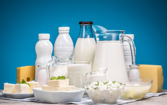 Süt Ürünleri İçin Boru Tipi SUS316 5000l/Hr UHT Sterilizatör