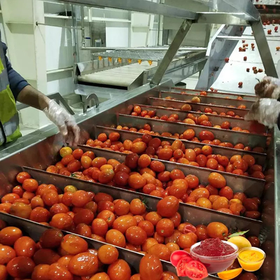 Sıcak Satış Tam Özelleştirilmiş Domates Üretim Tesisi Yeni Omate/Domates Juice/Sous/Pulp İşleme Makinesi PLC SUS304/316 ile