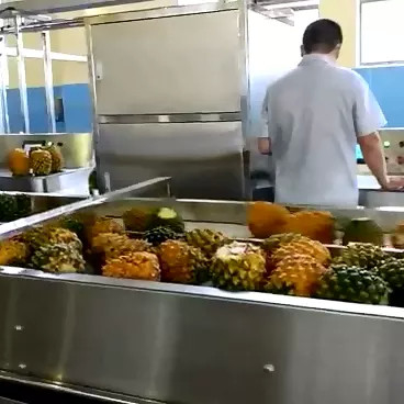 Yüksek Performanslı Tam Ananas İşleme Hatı Meyve Endüstrisi İçin PLC ile Özel Ananas Üretim Fabrikası Makinesi