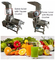 Meyve Elma Karpuz Mango Ananas Sıkacağı Ekstraktör Makinesi Paslanmaz Çelik