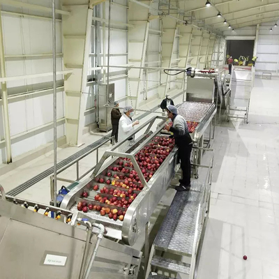 Anahtar Projesi Yeni 500-20000kg/H Elma/Armağan Meyvesi Makinesi Tam Elma Üretim Tesisi Elma Meyvesi İşleme Hatı Elma Pulp
