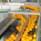 Endüstriyel Portakal Narenciye Suyu Üretim Hattı Otomatik