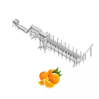 Yüksek Kaliteli Özelleştirilebilir Portakal Üretim Tesisi Yeni Meyve Suyu İşleme Makinesi Tam Portakal/Lemon/Tangerine Suyu İşleme Ekipmanı