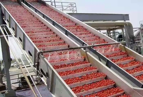 Tam özelleştirilmiş Çilek İşleme hattı Blueberry/Strawberry/Raspberry Üretim Tesisi Çilek suyu/Pulp/Jam Makinesi Sus304/316