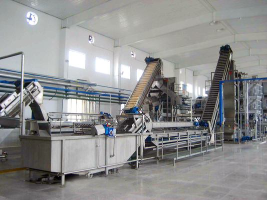 Yüksek Kaliteli Özel Mangosusu İşleme Makinesi Mangga/Mango Pulp Üretim Tesisi Mango İşleme hattı Sus304/316