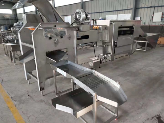 Yumurta kırma ve ayırma makinesi / sıvı yumurta işleme ekipmanları