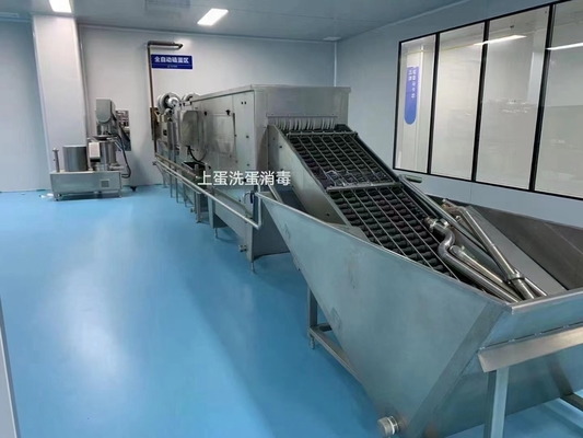 Sıvı yumurta işleme tesisi, kırma ve ayırma pastörizörle doldurma makinesi