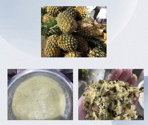 Ananas Suyu Makinesi Döşeme Endüstriyel Fabrikası
