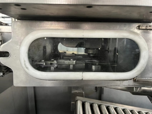 Sıcak Satış Tam Otomatik Aseptik BIB Doldurma Makinesi 1-25L Sürekli Çanta Kutusu Sos/Jem/Ketçap Doldurucu SUS304/316